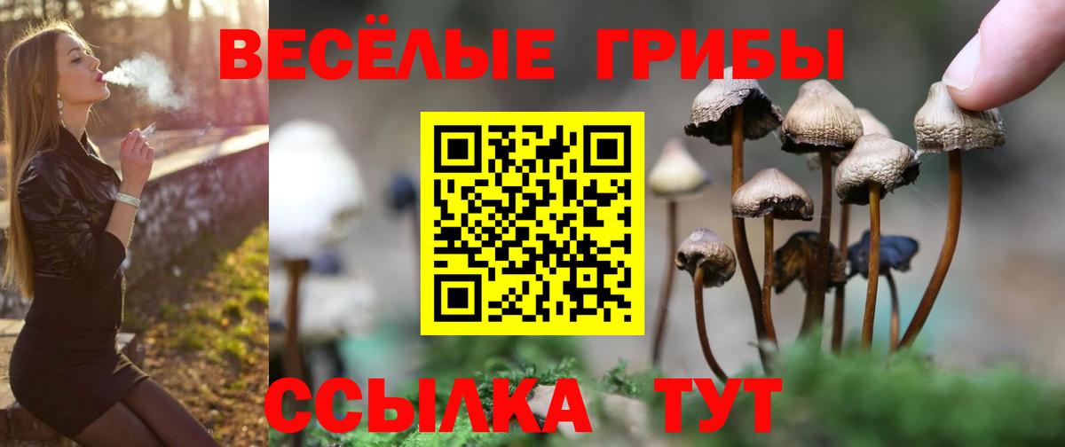 Южноуральск  Псилоцибиновые грибы ЛСД  Вход с VPN 